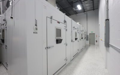 Walk-in Environmental Chamber Applications: Real-World Testing Stories from Mike Bromer